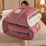 LUXURY SHERPA DOONA - 50% OFF TODAY